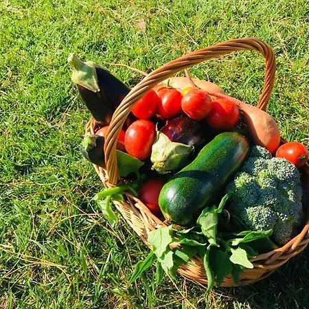 Furnaka Eco Village Affittacamere