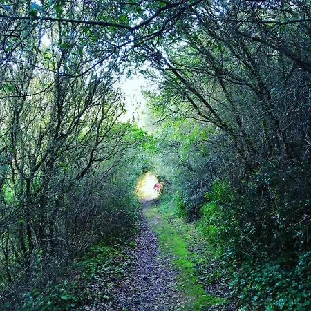 Furnaka Eco Village בית הארחה