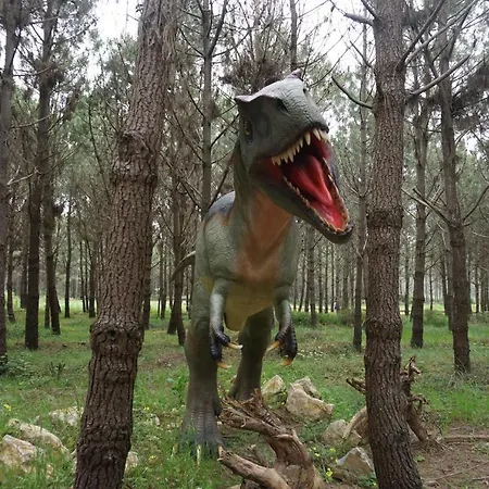 Furnaka Eco Village בית הארחה