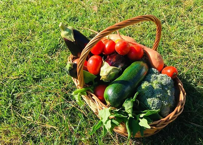 Furnaka Eco Village Guest house