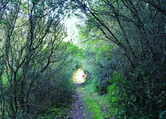 Furnaka Eco Village Guest house